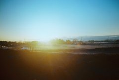Morning in the country