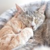 sleeping together