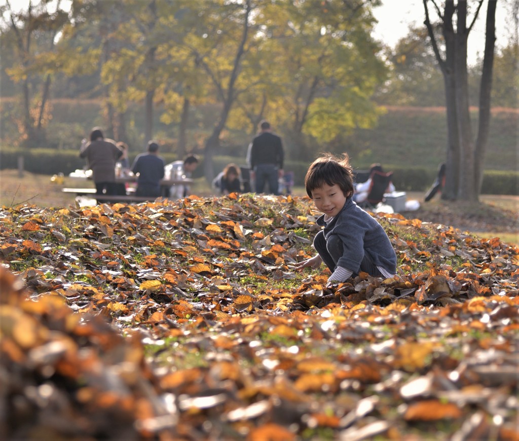 Picking leaves