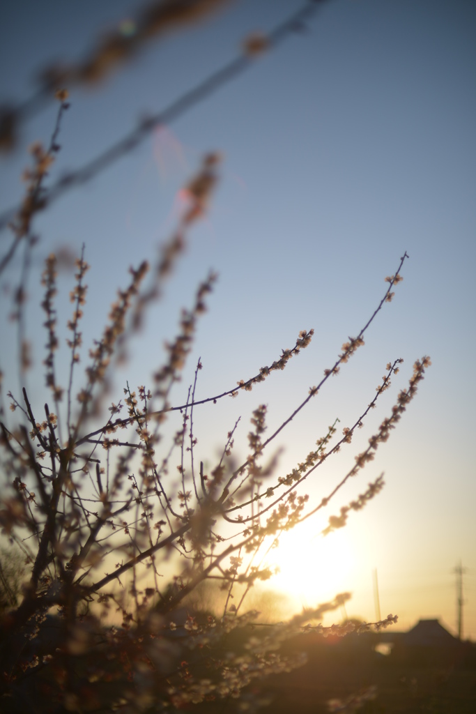 twilight