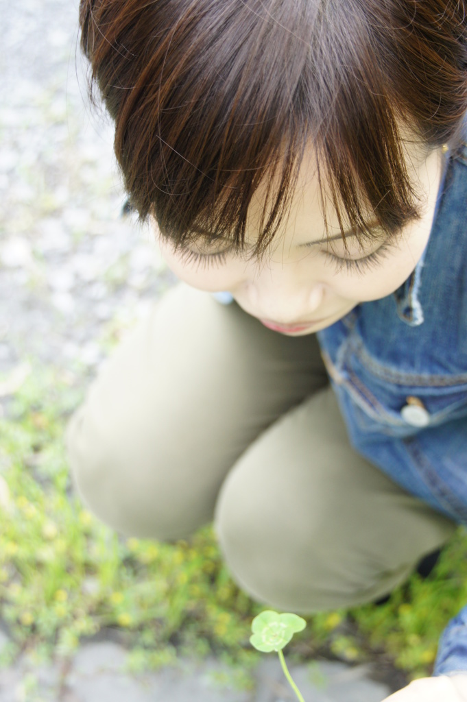 Clover of four leaves