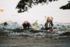 Clamming