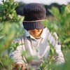 Blueberry picking