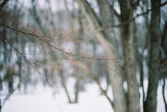 Winter makeup