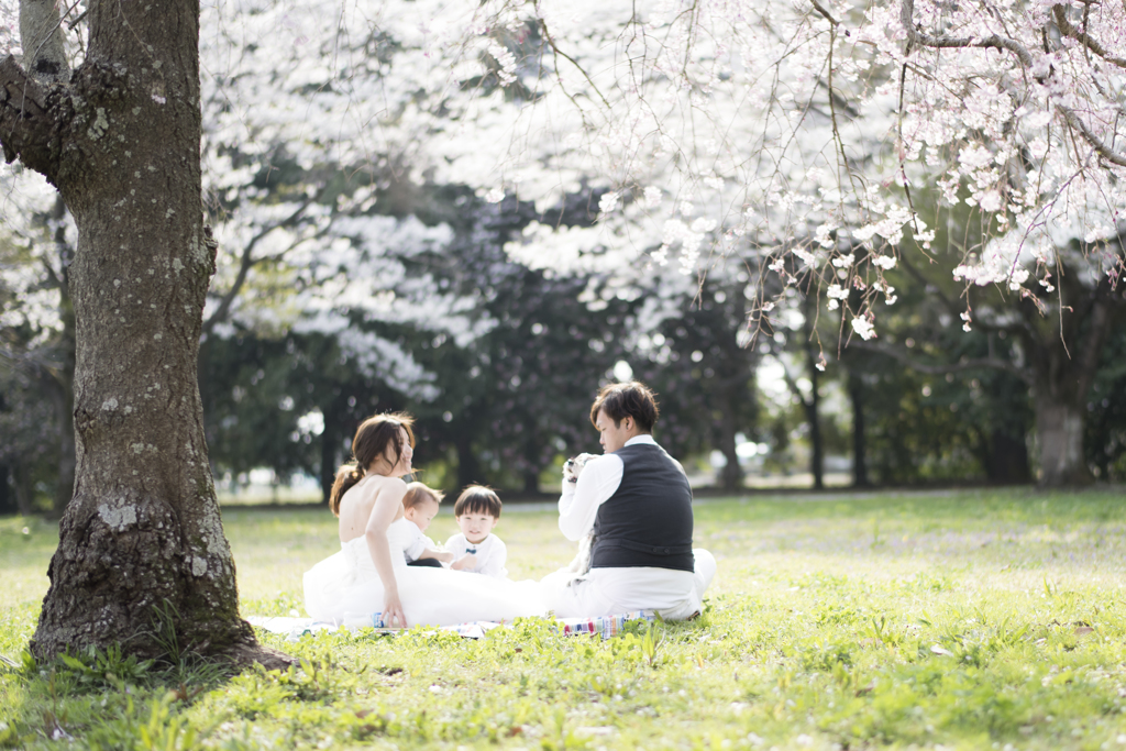 family wedding ７