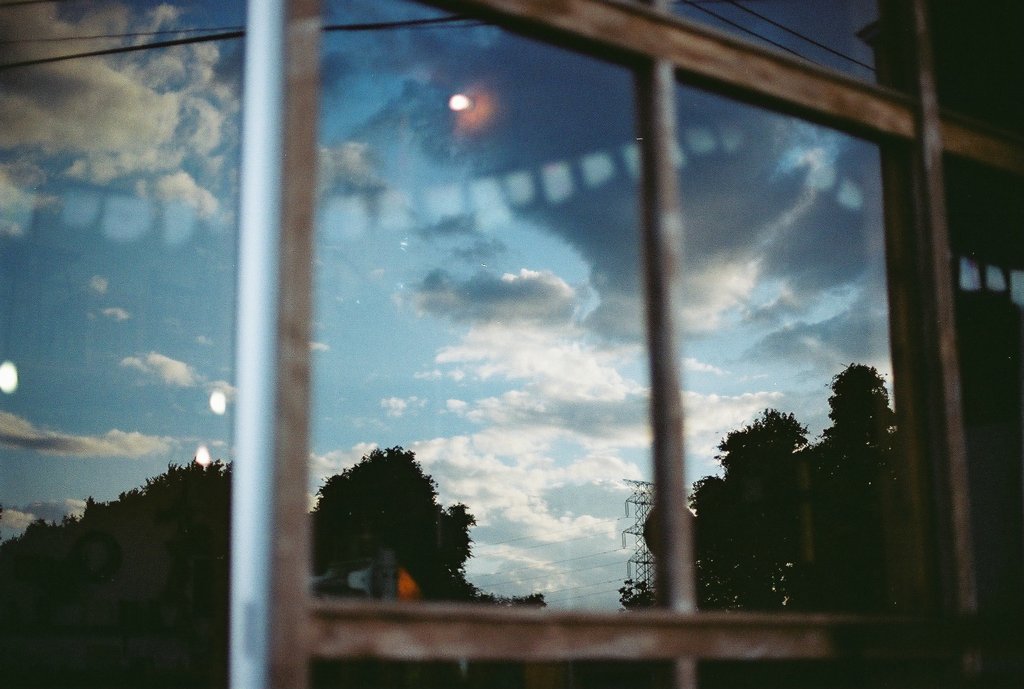 Afternoon after the rain