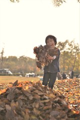 Picking leaves*