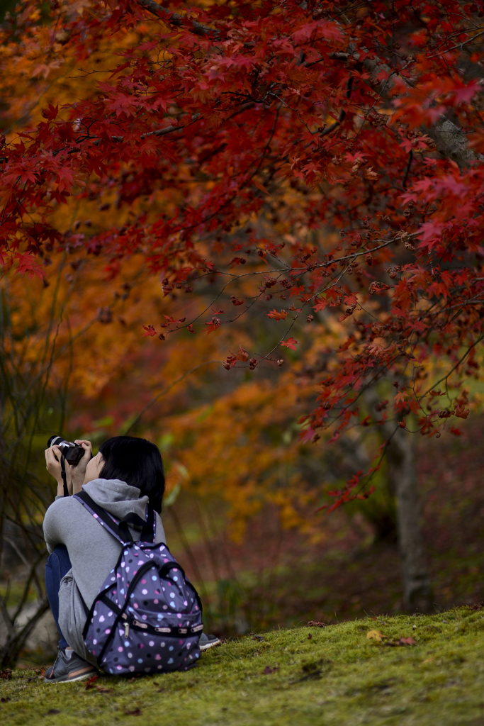 おでかけ写真部