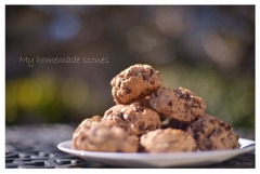 My homemade scones