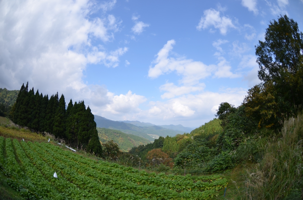 丹波の風景