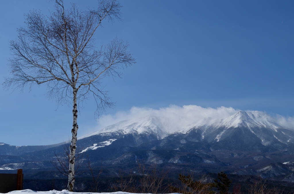 御岳と白樺のある風景