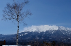 御岳と白樺のある風景