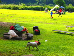 休日の公園