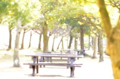 休日の朝