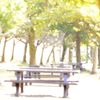 休日の朝