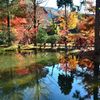 映り込み