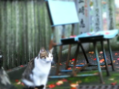 猫と落葉のアート