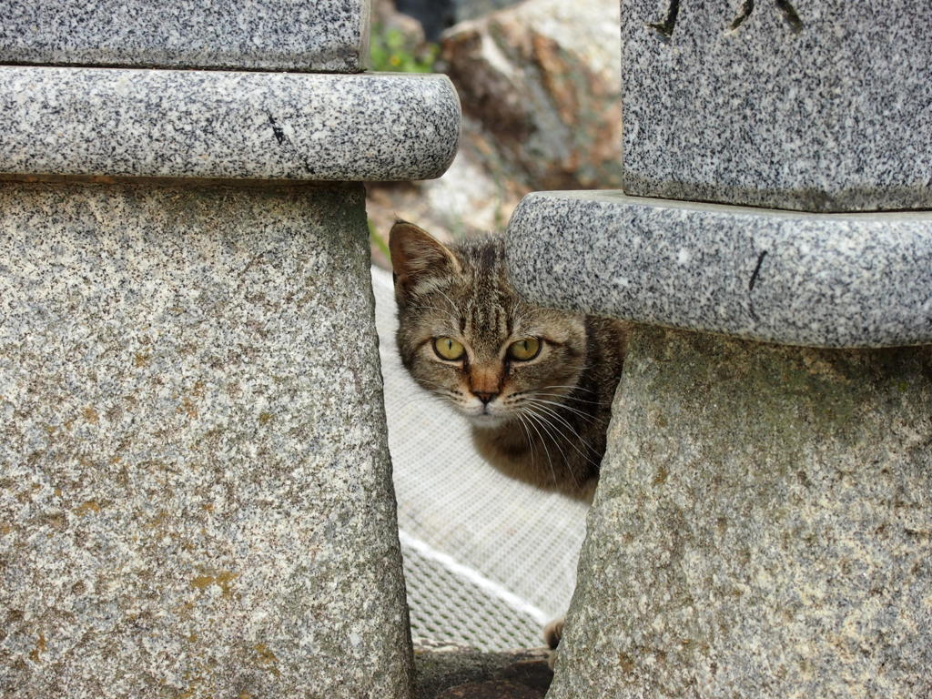 探偵ごっこ