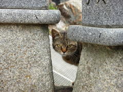 探偵ごっこ