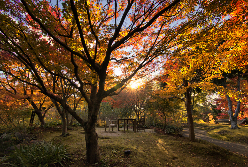 『In the woods to go end Ⅱ』