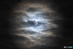「 闇夜の月 」