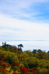 雲海に浮かぶ紅葉 Ⅰ