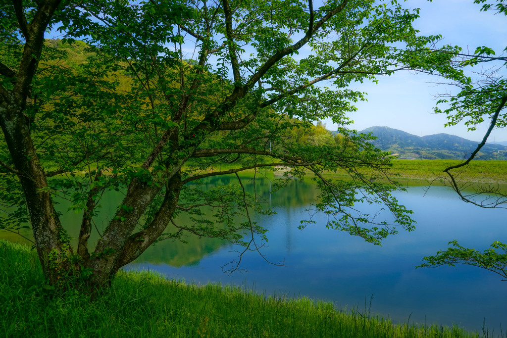 池のある風景