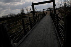 公園風景２