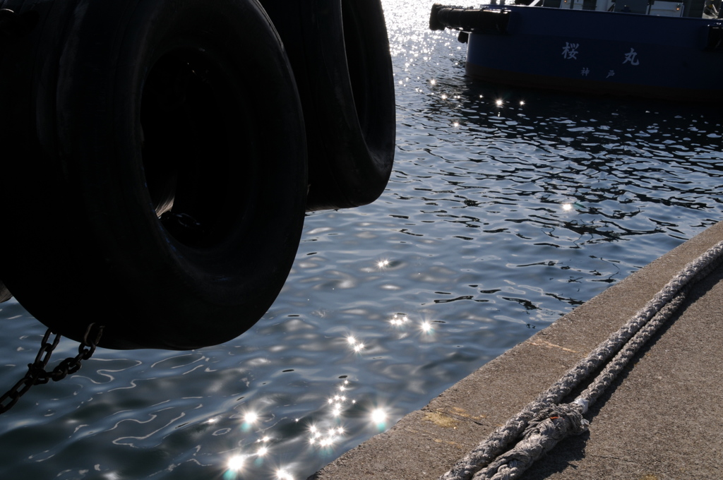 海のホタル＾＾