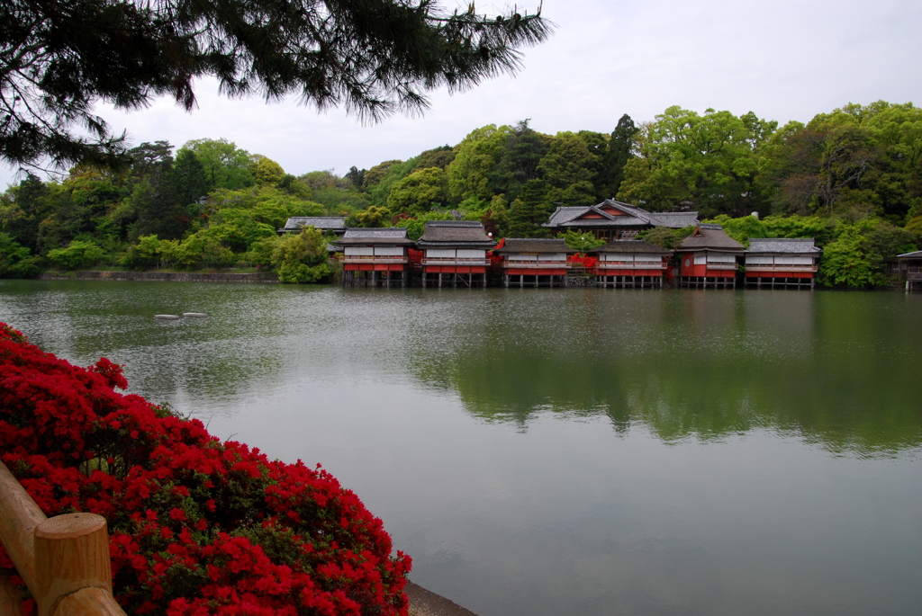 長岡天神錦水亭４