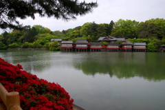 長岡天神錦水亭４