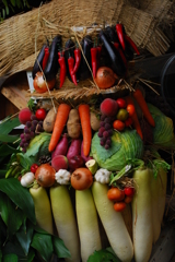 ハロウィンだね