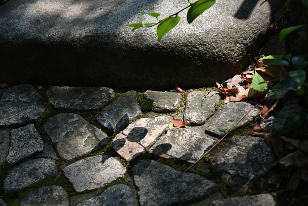 太陽の贈り物「影」