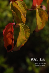 ふとした瞬間
