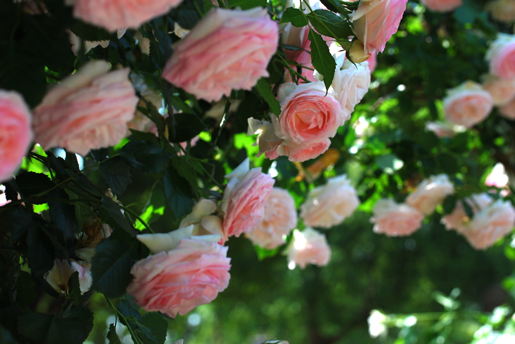 ちょっとよそ見