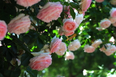 ちょっとよそ見