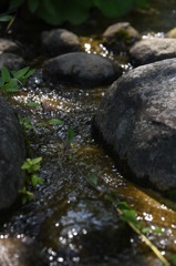 太陽の贈り物「きらり宝石」