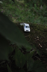 森の出来事から・・・どこいくの？