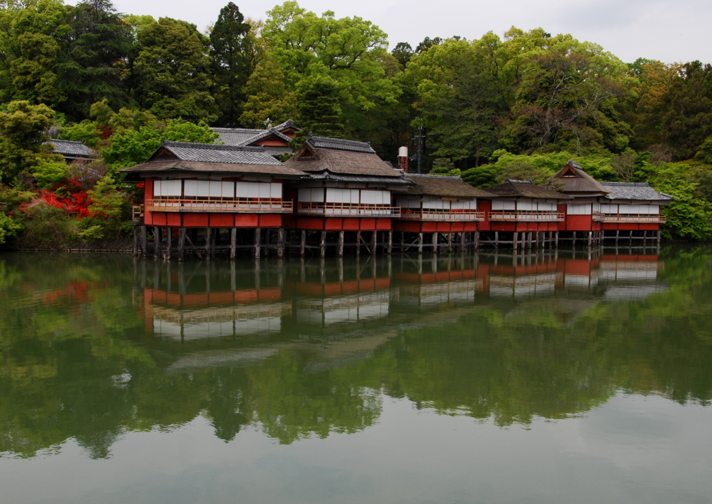 長岡天神錦水亭３