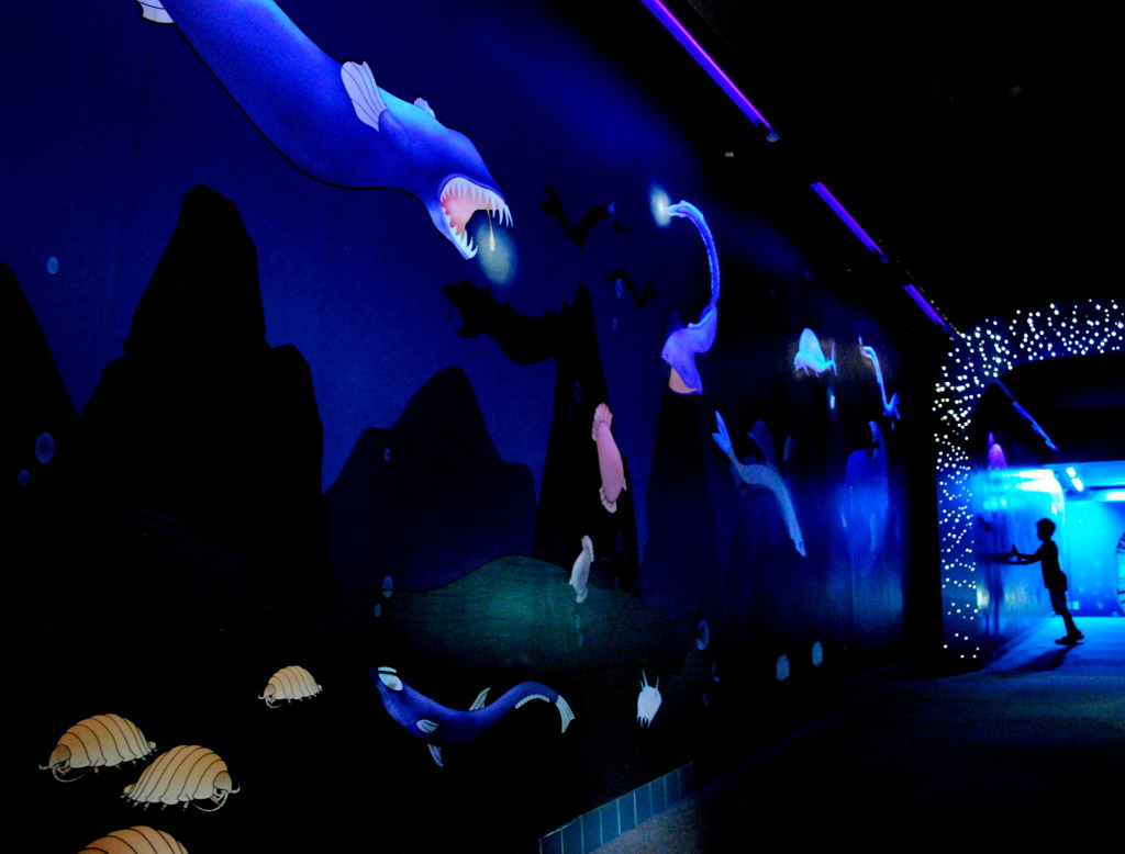 蒼の世界の入り口は（夢の回廊）