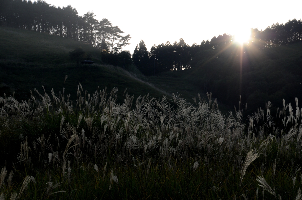 すこしづつ日が沈む