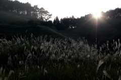 すこしづつ日が沈む