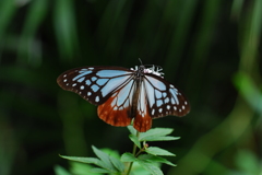 おお～きれい！