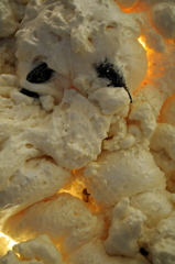 可愛いでしょう