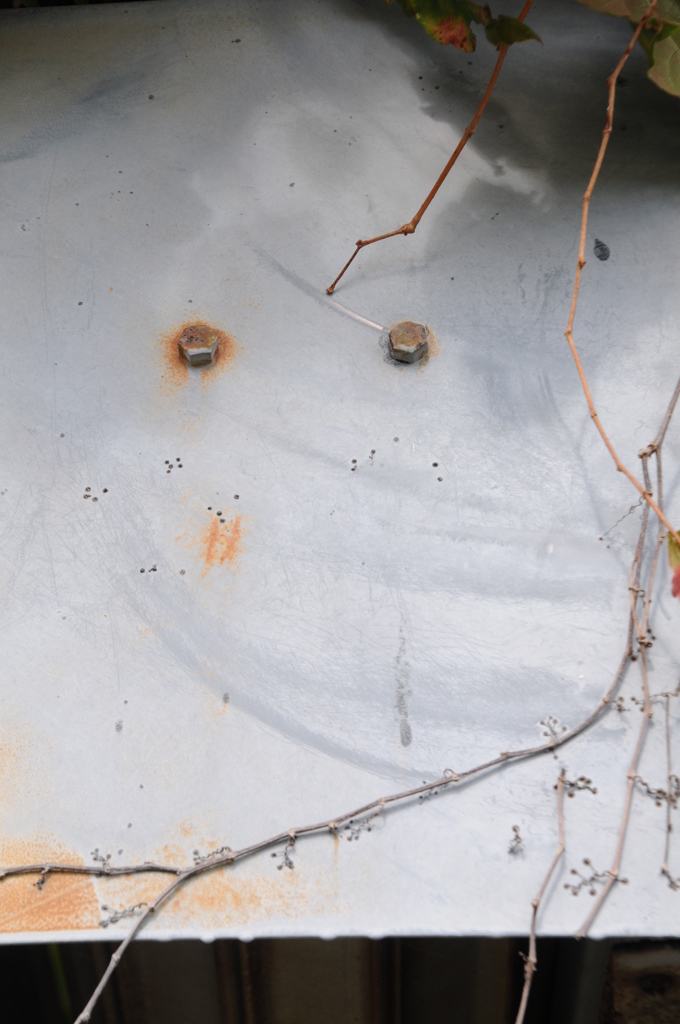 ね、ムーミン（？？）