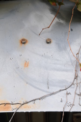 ね、ムーミン（？？）