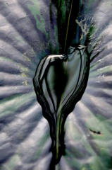 もうすぐバレンタイン