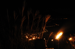 すすき道に明かりが灯る