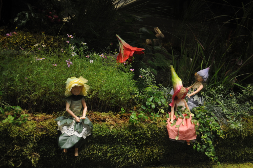 妖精たちが舞い降りた