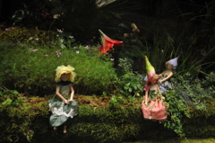 妖精たちが舞い降りた